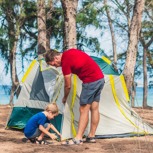 Cuie drepte pentru cort - 10 buc. - 8