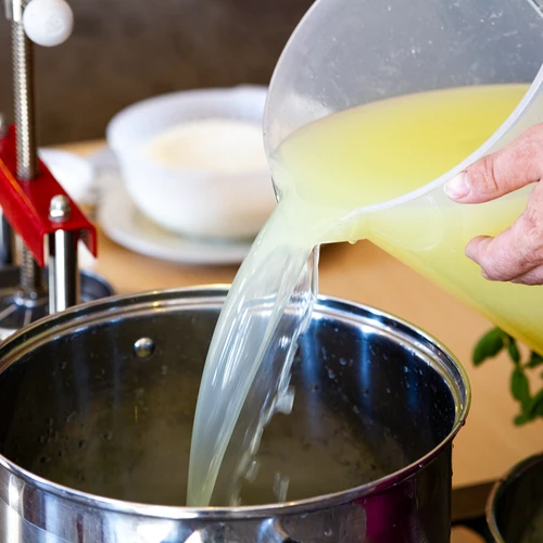 Culturi bacteriene pentru brânză de vaci - 3