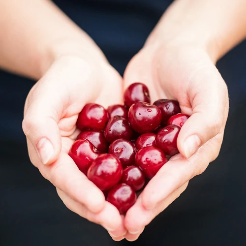 Dispozitiv de scos sâmburi de vișine și cireșe (în folie) - 7