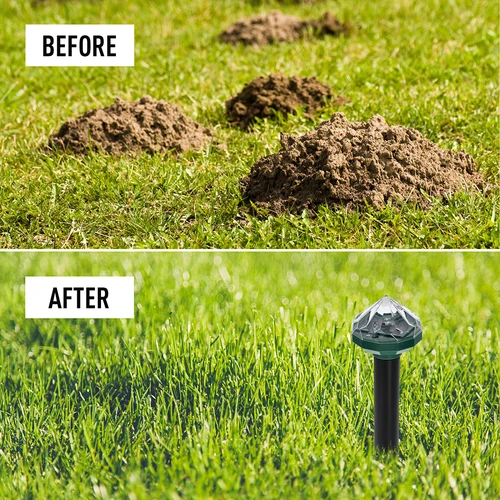 Dispozitiv solar de alungare a cârtițelor cu lampă LED - 12