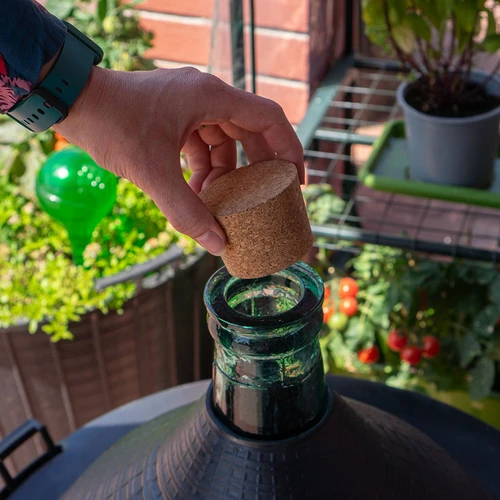 Dop de plută 55/46mm - 4