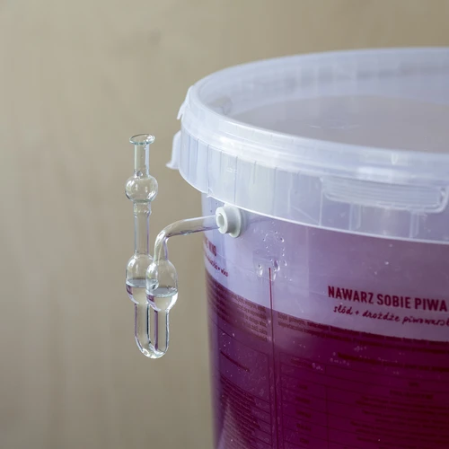 Drojdie pentru vin Burgund fără înmulțire, 20 ml - 6