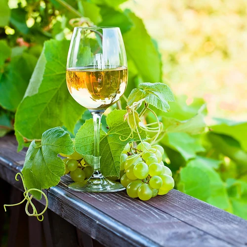 Enovini® OK WHITE - drojdie pentru vin care reduce aciditatea 7 g - 10