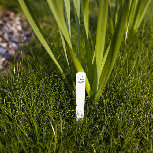 Etichete pentru descrierea plantelor + creion mix 10+20 buc. - 7