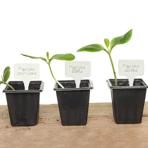 Etichete pentru descrierea plantelor + creion mix 10+20 buc. - 12