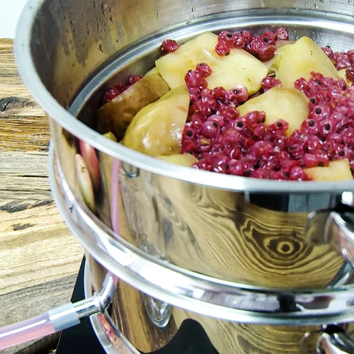 Extractor de suc din oțel inoxidabil cu aburitor 5 L - 17