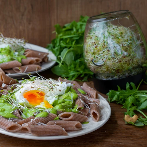 Germinator de borcan Twist-off + 5 pachete de semințe - 15