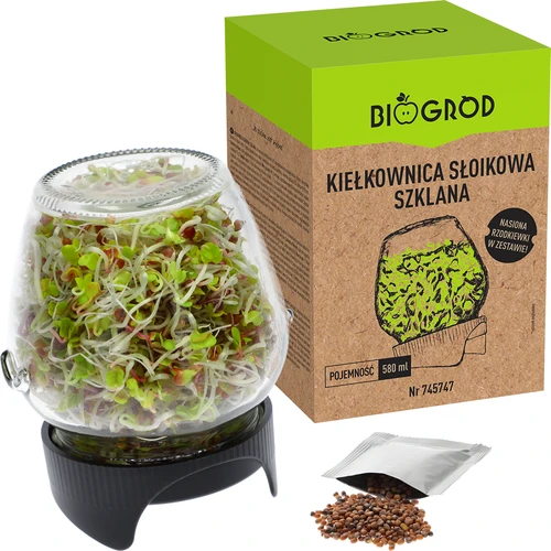 Germinator de borcan Twist-off cu semințe de ridiche - 5