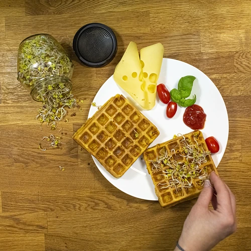 Germinator de borcan Twist-off cu semințe de ridiche - 13