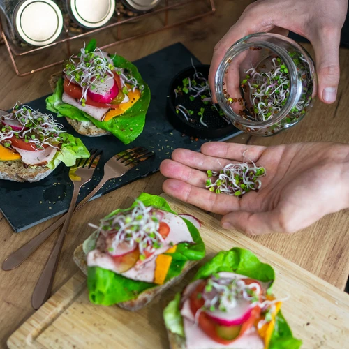 Germinator de borcan Twist-off cu semințe de ridiche - 12