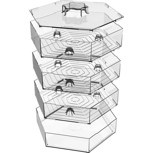 Germinator pe mai multe niveluri Niezłe Ziółko + 10 pachete de semințe - 9