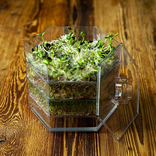 Germinator pe mai multe niveluri Niezłe Ziółko cu semințe de ridiche - 19