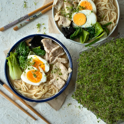 Germinator pe mai multe niveluri Niezłe Ziółko cu semințe de ridiche - 17