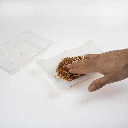 Germinator Verde Czuprynka cu semințe de ridiche - 6