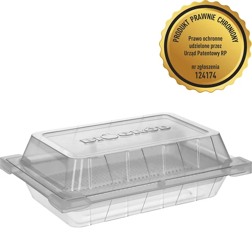 Germinator Verde Czuprynka cu semințe de ridiche - 2