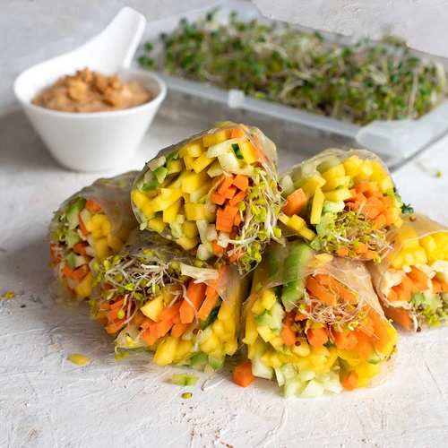 Germinator Verde Czuprynka cu semințe de ridiche - 12