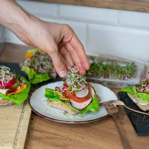 Germinator Verde Czuprynka cu semințe de ridiche - 11