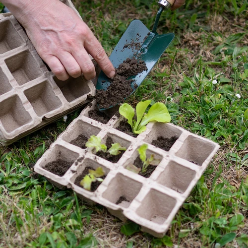 Ghivece de hârtie 4,5 x 5 x 4,5, set de 5 buc. - 5