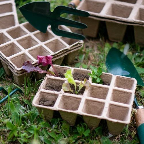 Ghivece de hârtie 4 x 4 x 4,5, set de 5 buc. - 6