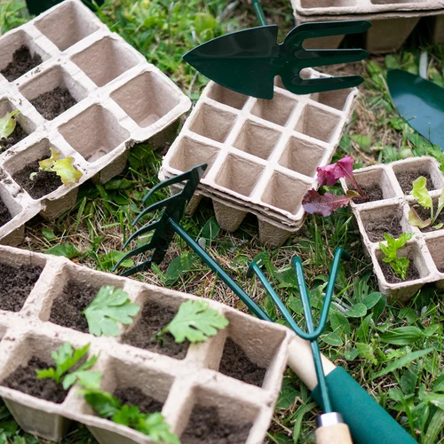 Ghivece de hârtie 4 x 4 x 4,5, set de 5 buc. - 5