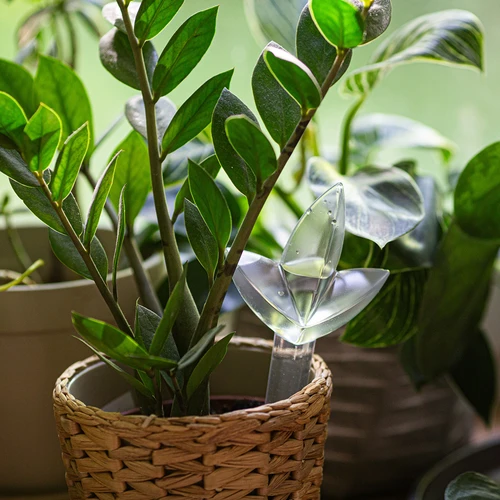 Irigator pentru plante – frunză transparentă, 120 ml - 7