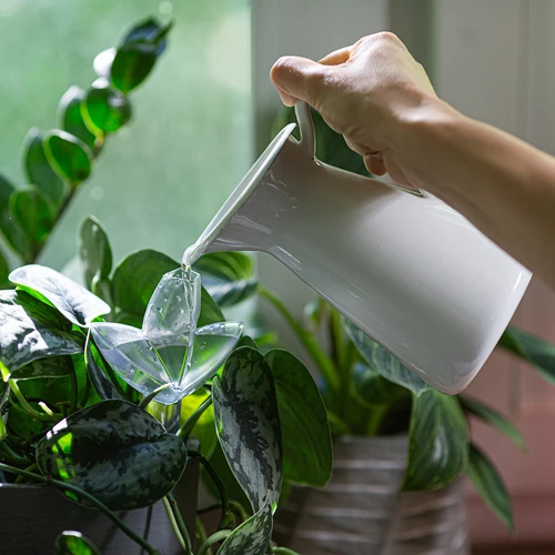 Irigator pentru plante – frunză transparentă cu picior ceramic, 120 ml - 8