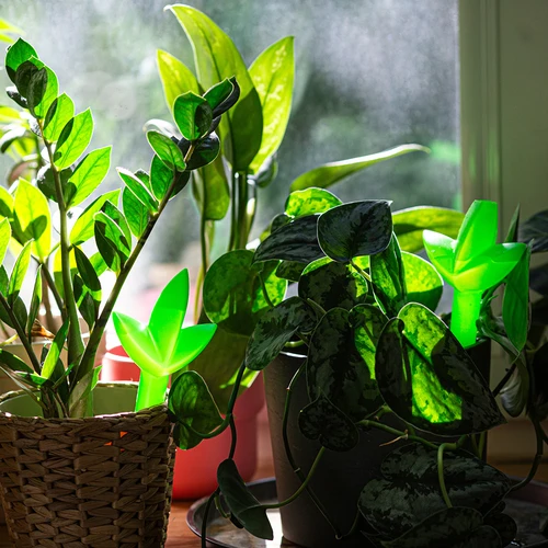 Irigator pentru plante – frunză verde, 120 ml - 7