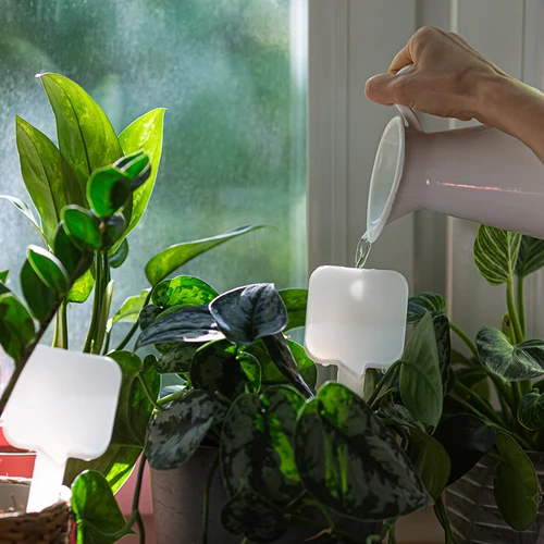 Irigator pentru plante – plăcuță albă, 200 ml - 8