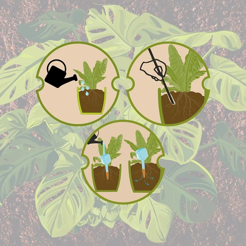 Irigator pentru plante - plăcuță albă cu picior ceramic, 200 ml - 12