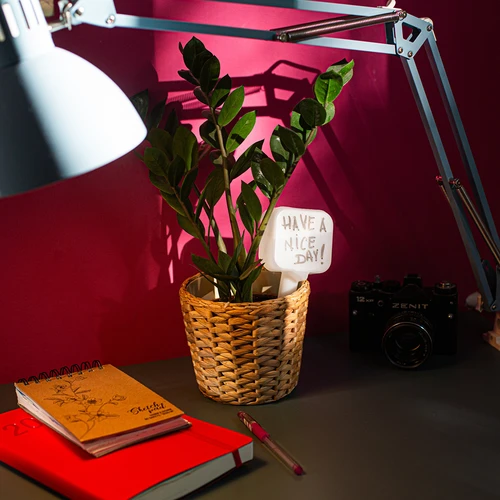 Irigator pentru plante - plăcuță albă cu picior ceramic, 200 ml - 11