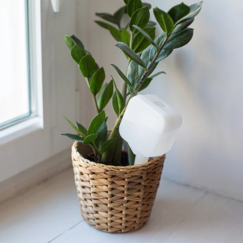 Irigator pentru plante - plăcuță albă cu picior ceramic, 200 ml - 9