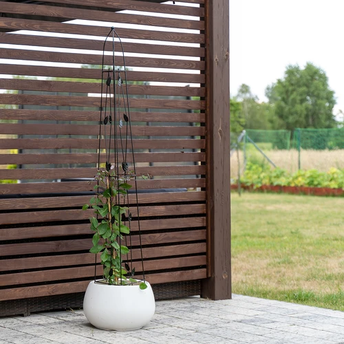 Pergolă decorativă - Piramidă, 150 cm - 5