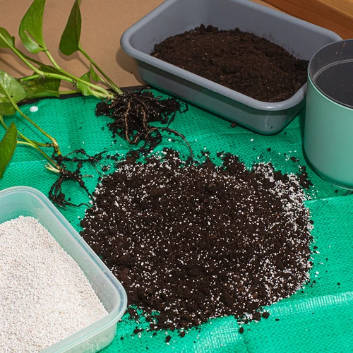 Perlit pentru plante de ghiveci și grădinărit, 2L - 7