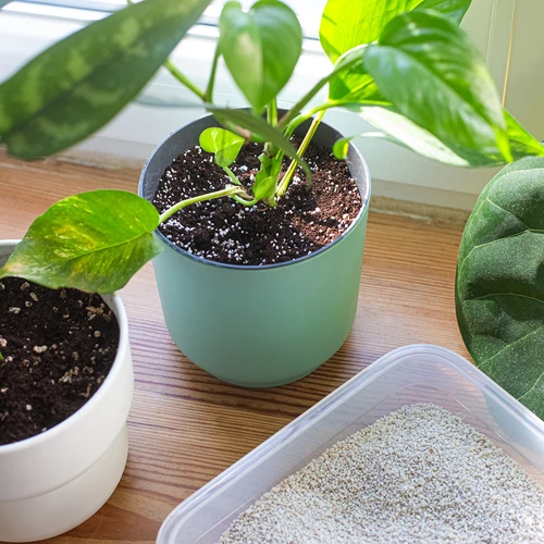 Perlit pentru plante de ghiveci și grădinărit, 2L - 8