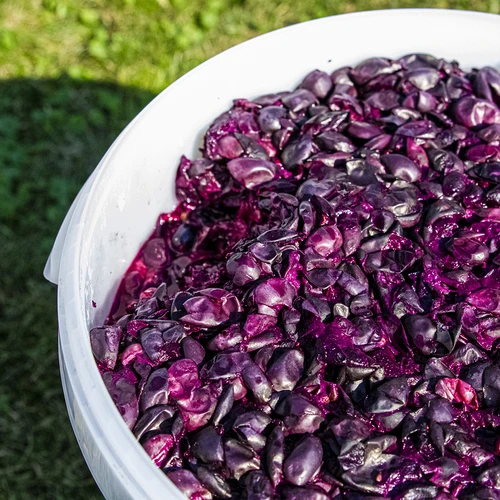 Recipient de fermentare 30 L cu capac, robinet și tub UA - 15