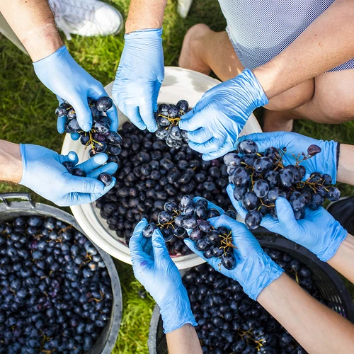 Recipient de fermentare cu capac 30 L - 17