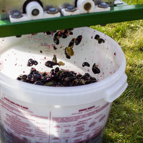 Recipient de fermentare cu capac 30 L - 18