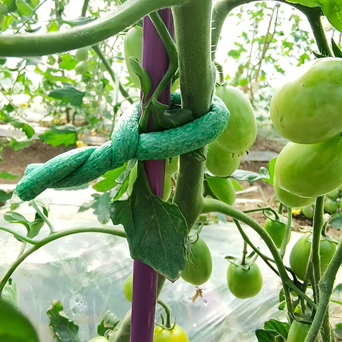 Sârmă de grădinărit acoperită cu burete, verde, 10 m, fi 10mm - 4