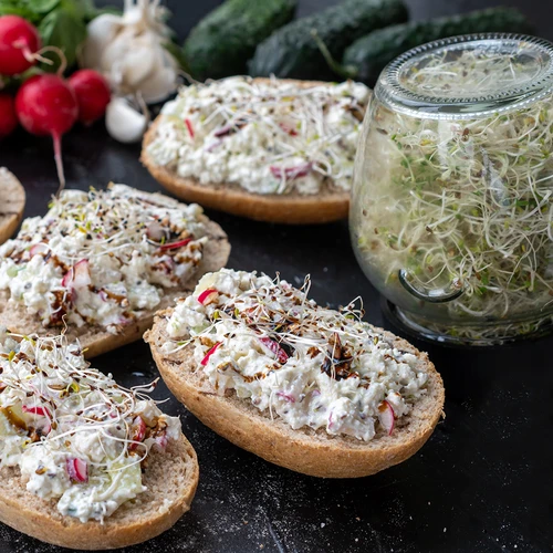 Set de semințe pentru vlăstari - 10 pachete - 4