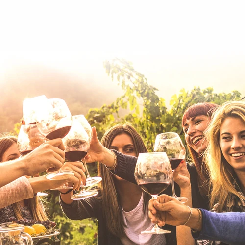 Set de vinificație 15 L cu balon de sticlă - 15