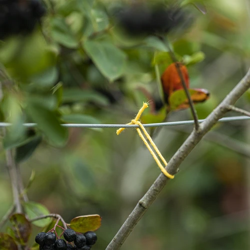 Sfoară de bumbac galbenă 2 mm/55 m/100 g - 7