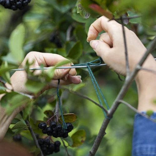 Sfoară de bumbac verde 2 mm/55 m/100 g - 7