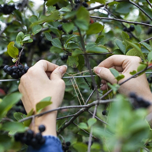 Sfoară de iută 1,5 mm/100 m/100 g - 8