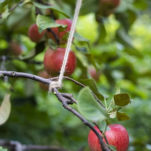 Sfoară de iută 2 mm/110 m/250 g - 8