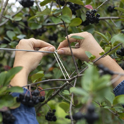 Sfoară de sisal 1,8 mm/40 m/100 g - 7