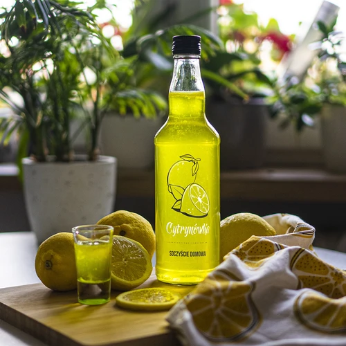 Sticlă 0,5 L cu capac și imprimare Limonadă 4 buc - 7