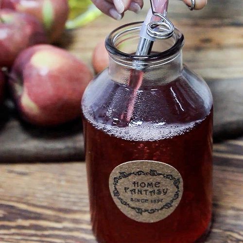 Storcător de suc din oțel inoxidabil 8 L - 16