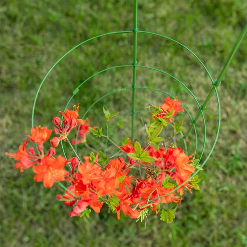 Suport inelar pentru plante 3 inele 1,2m - 5