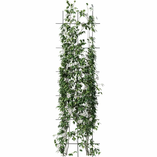 Suport pentru plante - grilaj (150cm x 45cm) 3 bucăți - 3