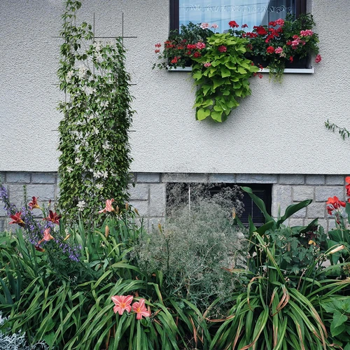 Suport pentru plante - grilaj (150cm x 45cm) 3 bucăți - 4
